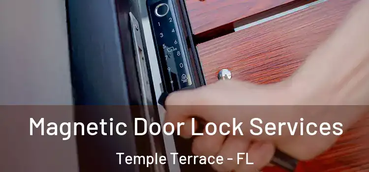 Magnetic Door Lock Services Temple Terrace - FL